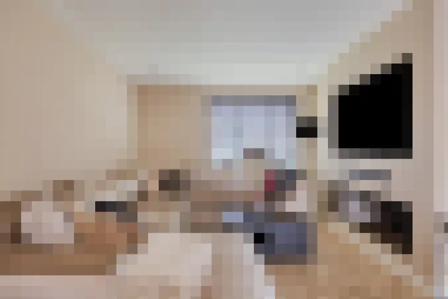 Fleskensstraat 5 Geldrop thumbnail 5