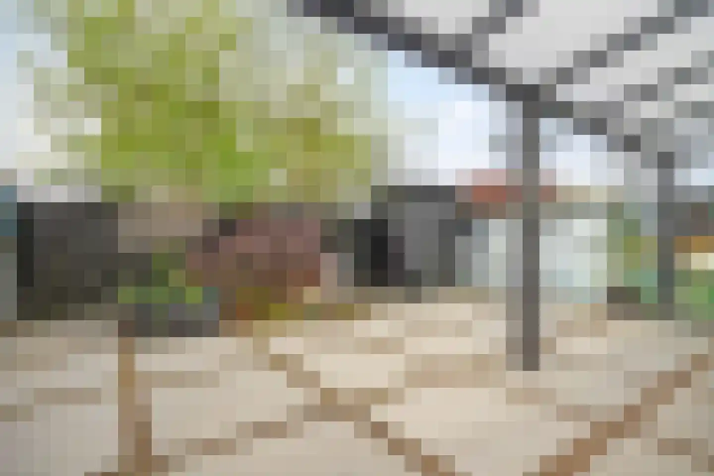 Flessegroen 17 Zoetermeer thumbnail 12