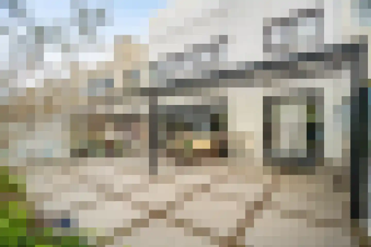 Flessegroen 17 Zoetermeer thumbnail 13