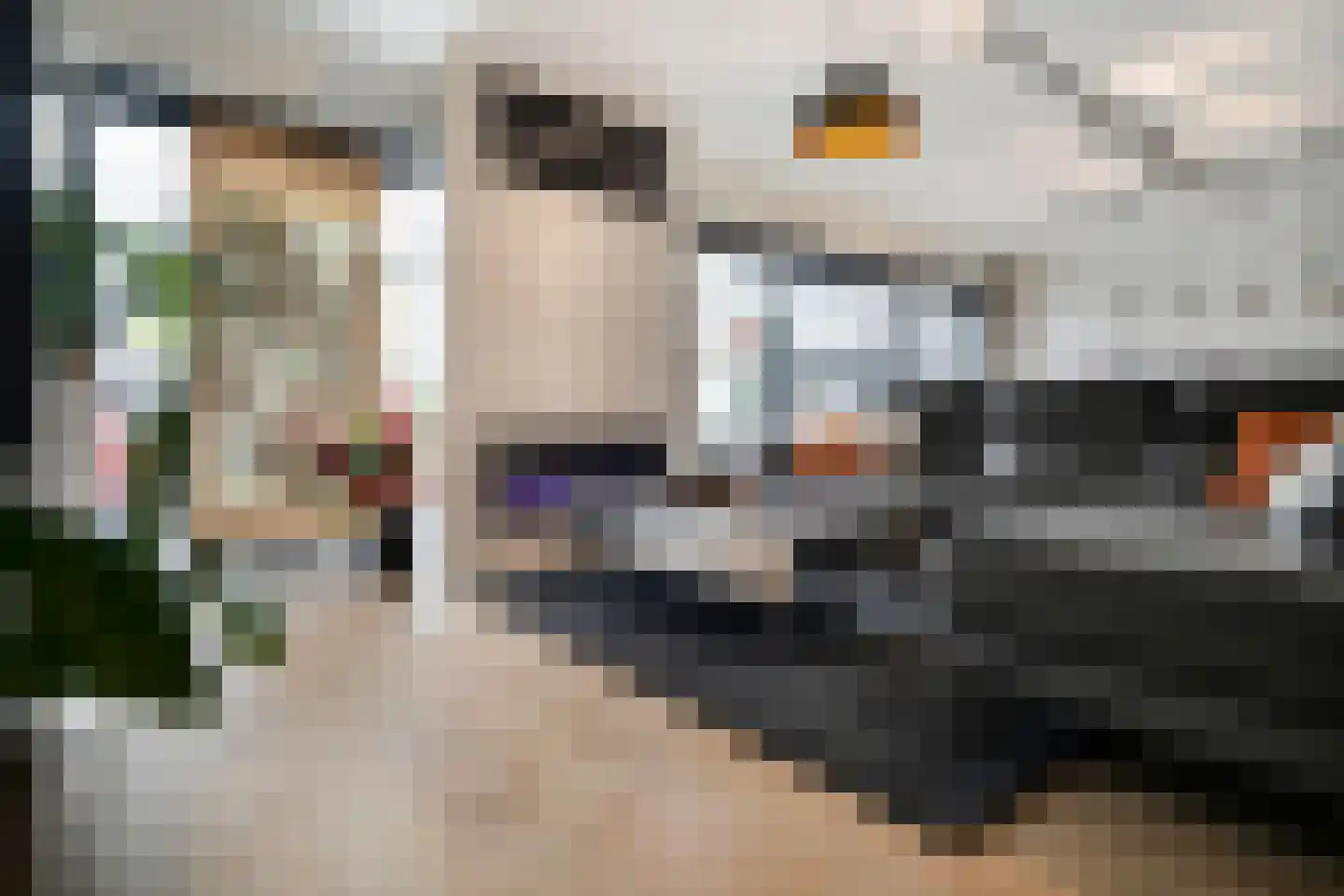 Flessegroen 17 Zoetermeer thumbnail 18