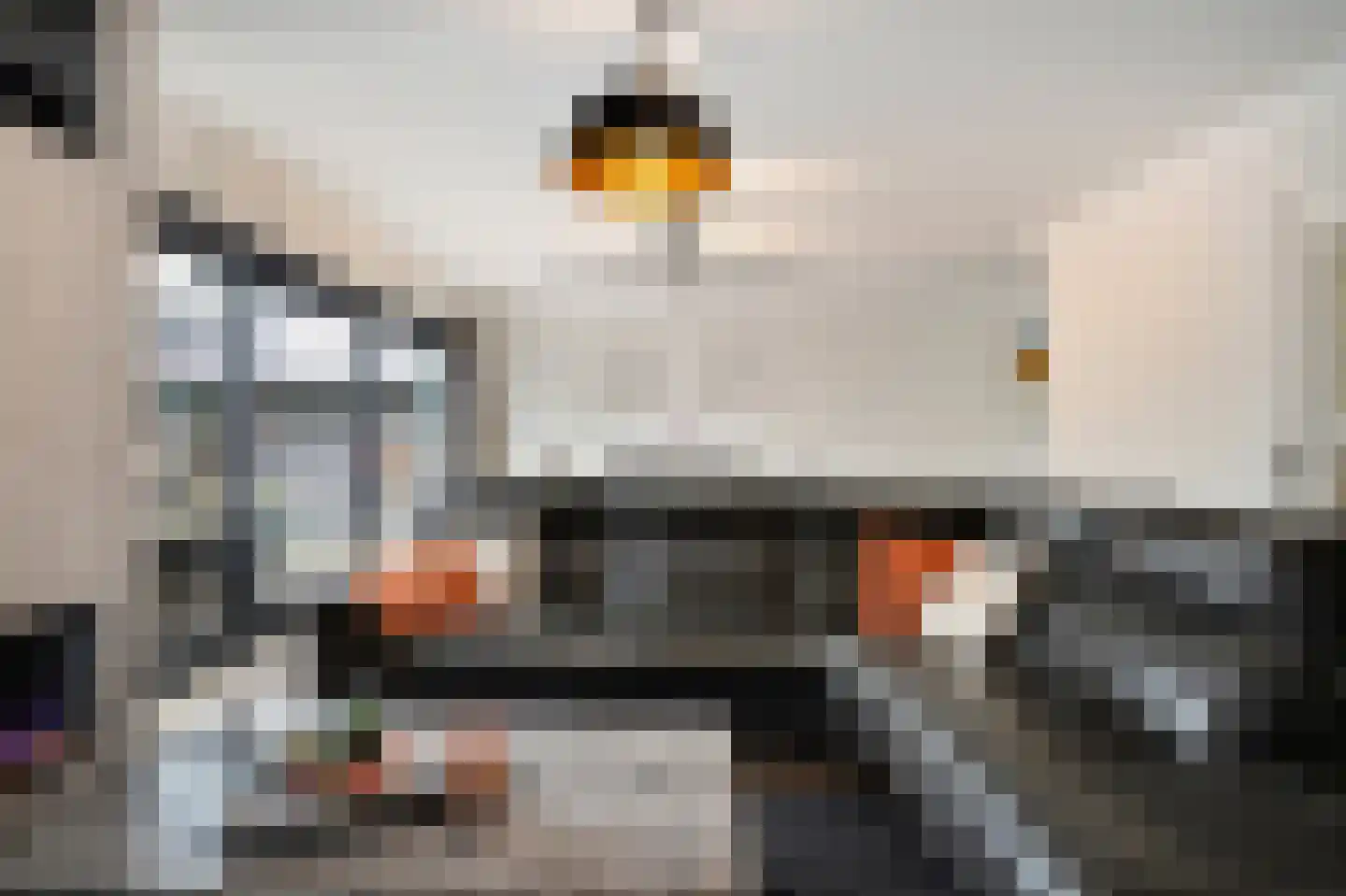 Flessegroen 17 Zoetermeer thumbnail 20