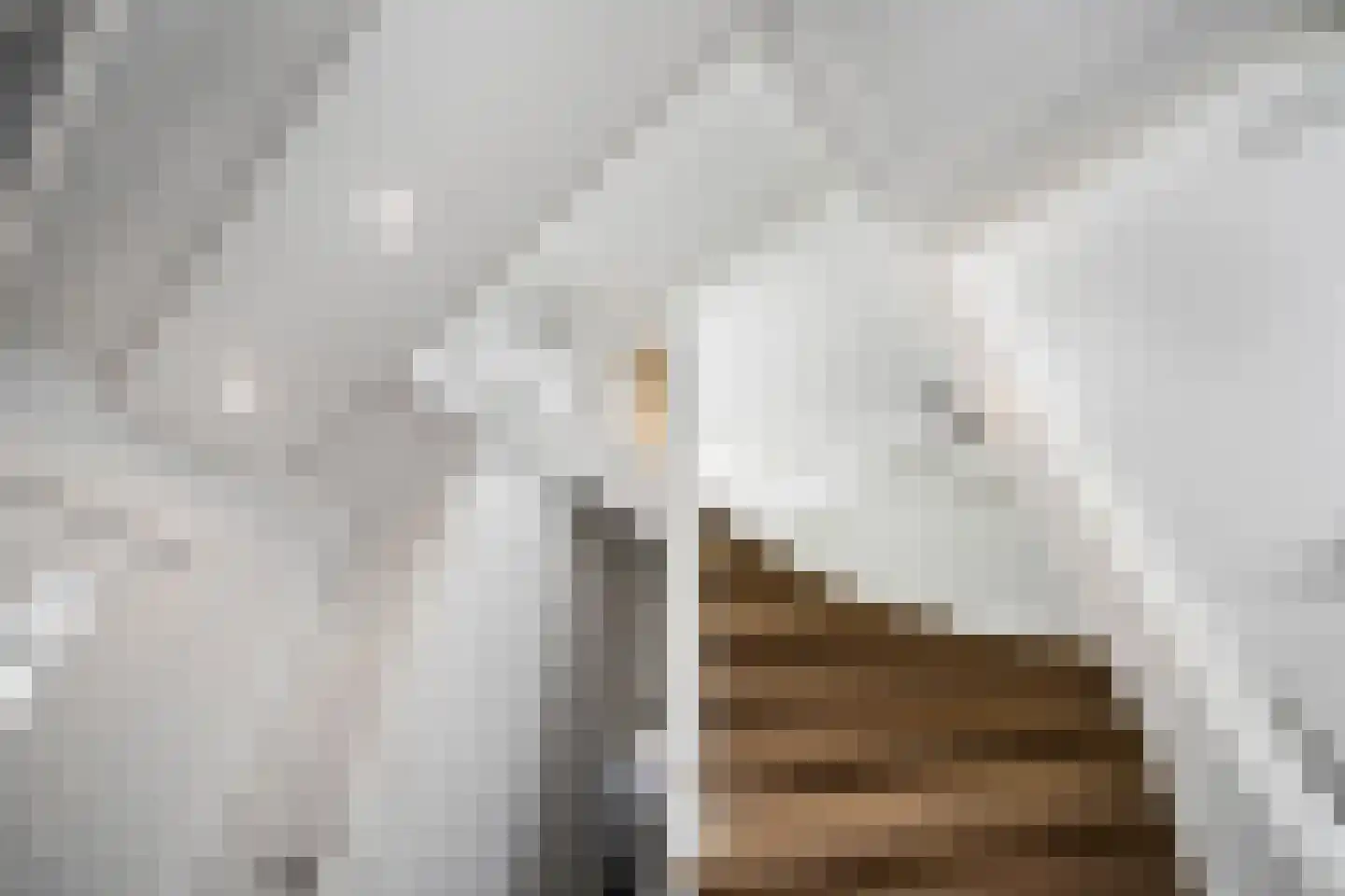 Flessegroen 17 Zoetermeer thumbnail 32