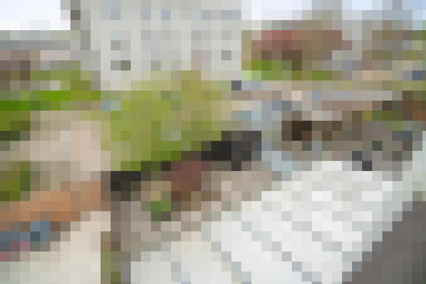 Flessegroen 17 Zoetermeer thumbnail 40