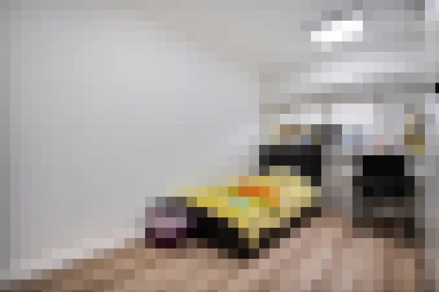 Flessegroen 17 Zoetermeer thumbnail 46