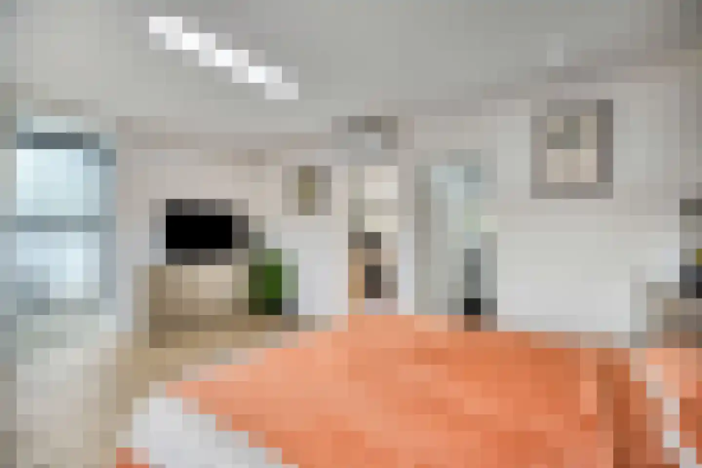 Flessegroen 17 Zoetermeer thumbnail 54
