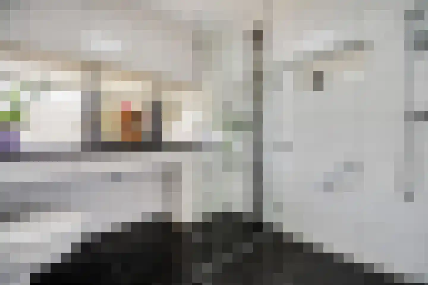 Flessegroen 17 Zoetermeer thumbnail 55