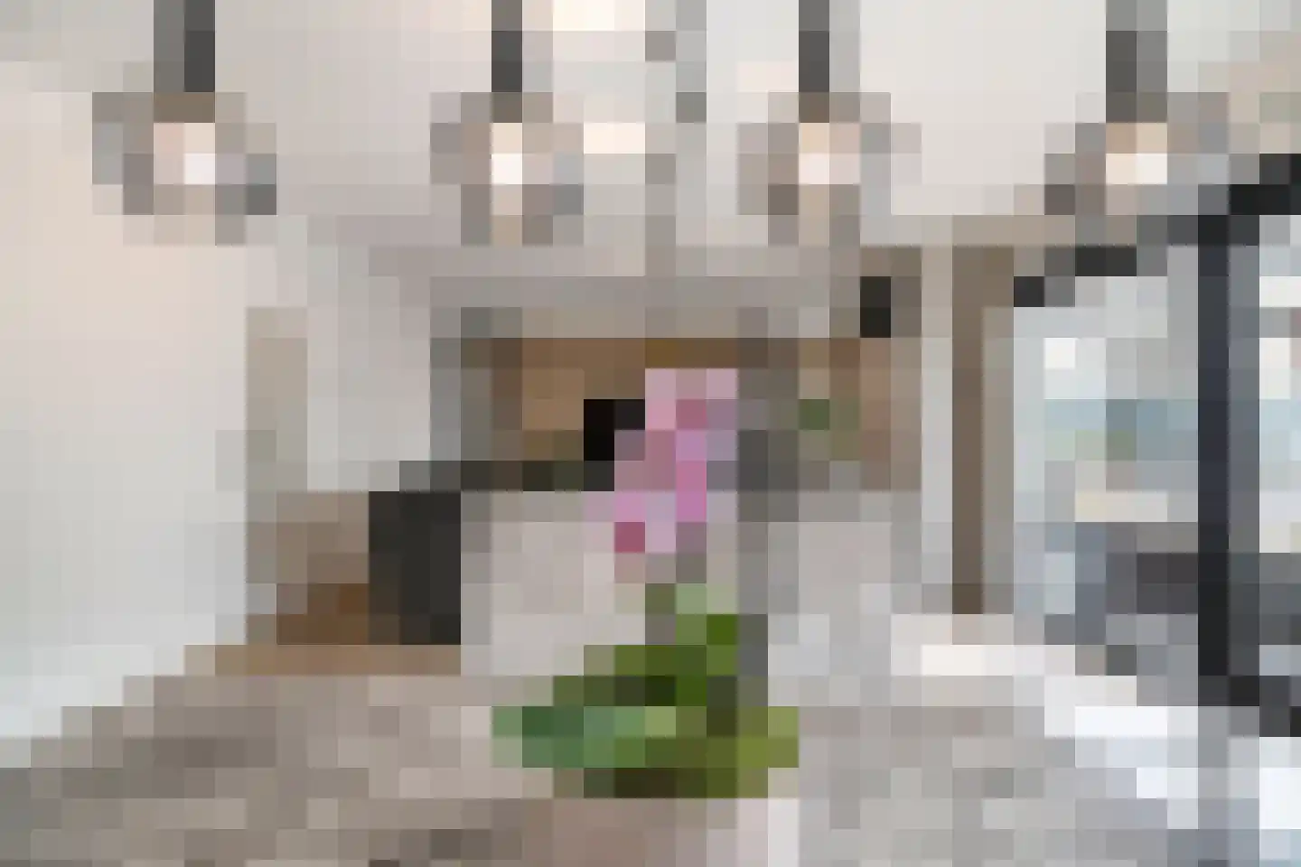 Flessegroen 17 Zoetermeer thumbnail 7