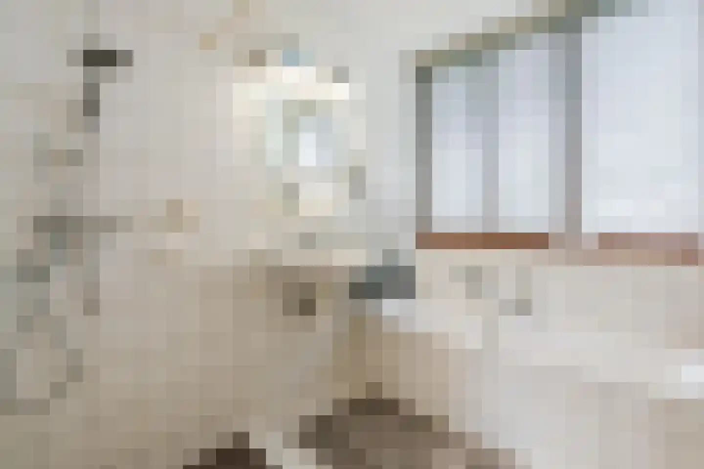 Flessenbergerweg 19 Wapenveld thumbnail 30