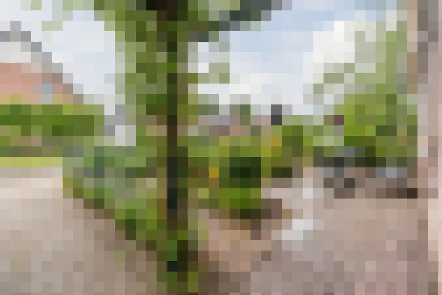 Flessenbergerweg 19 Wapenveld thumbnail 35