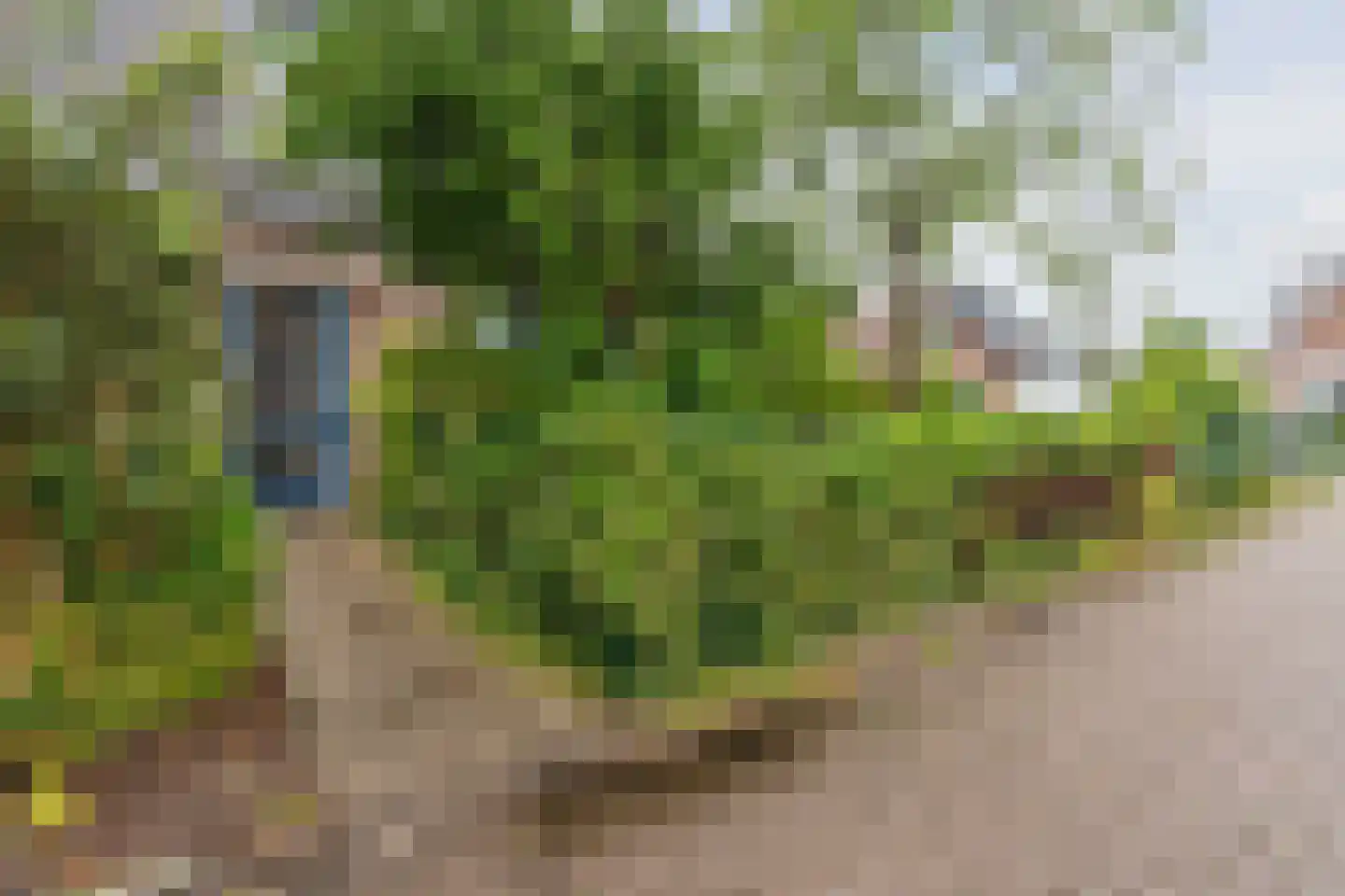 Flessenbergerweg 19 Wapenveld thumbnail 36