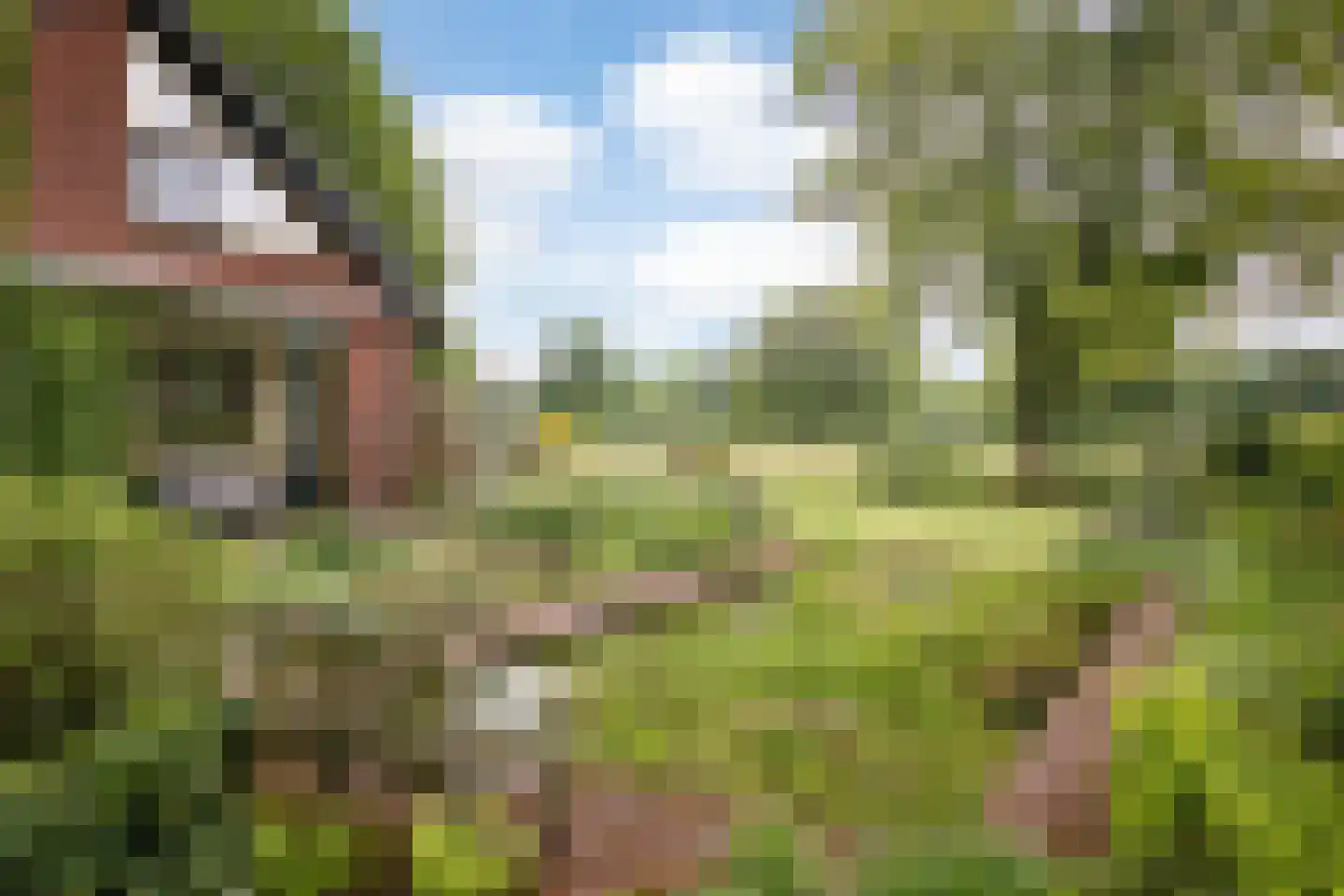 Flessenbosweg 12 Joppe thumbnail 11