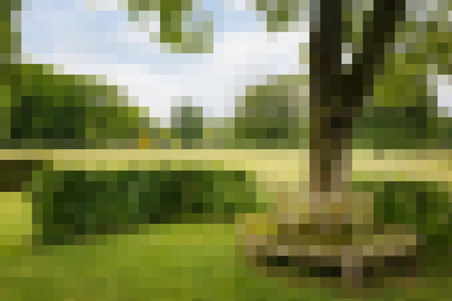 Flessenbosweg 12 Joppe thumbnail 12