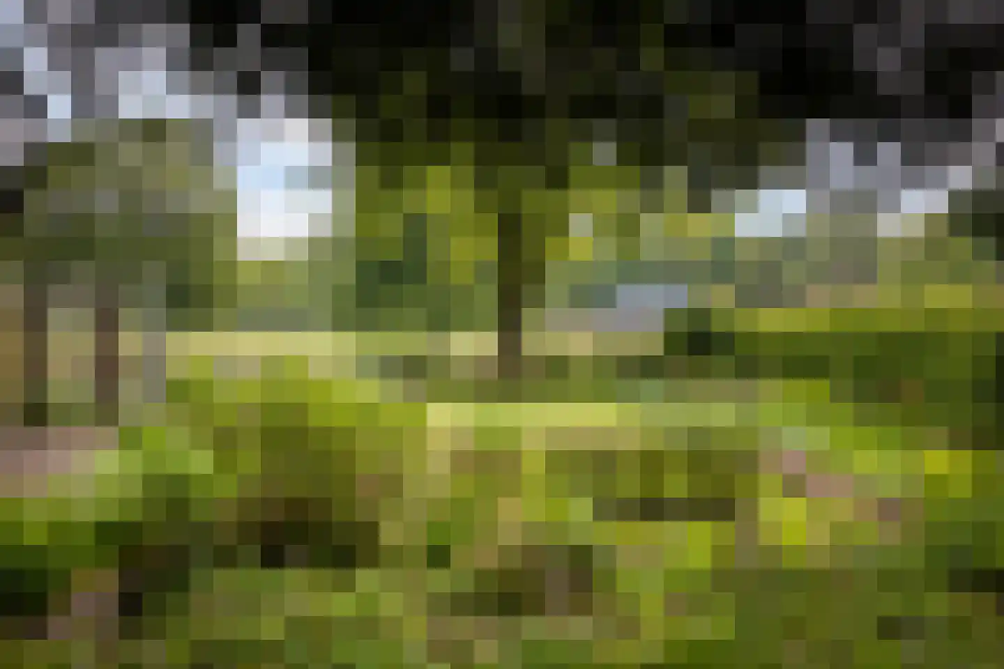 Flessenbosweg 12 Joppe thumbnail 13