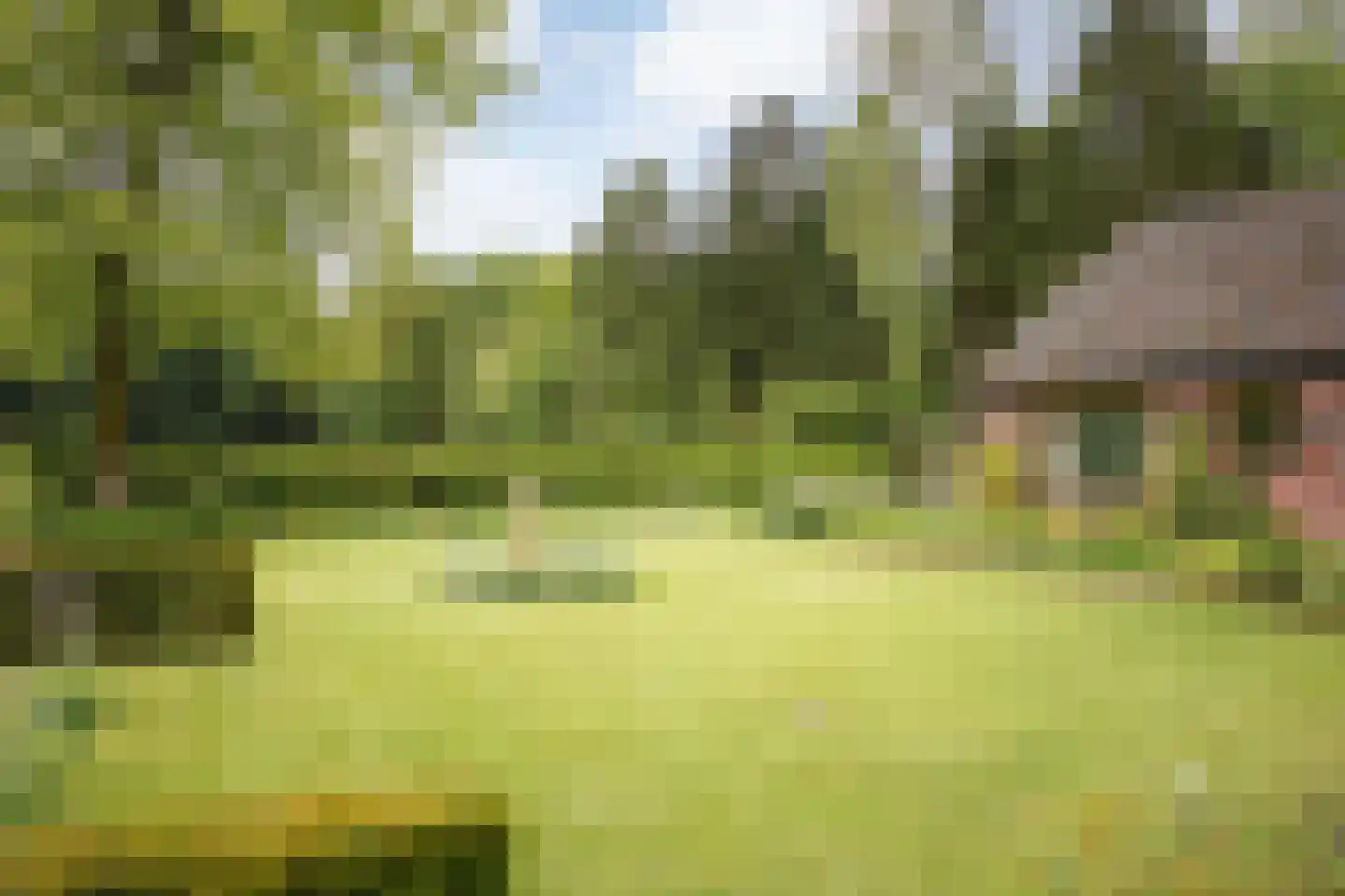 Flessenbosweg 12 Joppe thumbnail 14