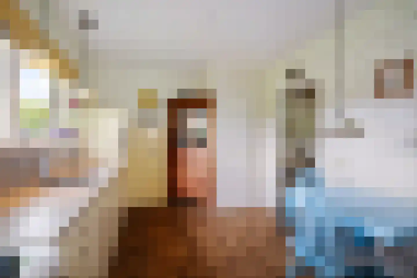 Flessenbosweg 12 Joppe thumbnail 21