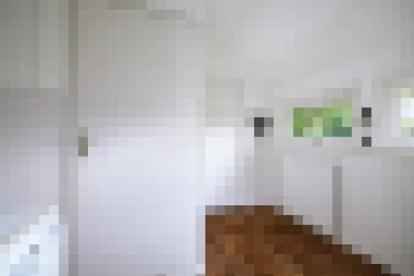 Flessenbosweg 12 Joppe thumbnail 23