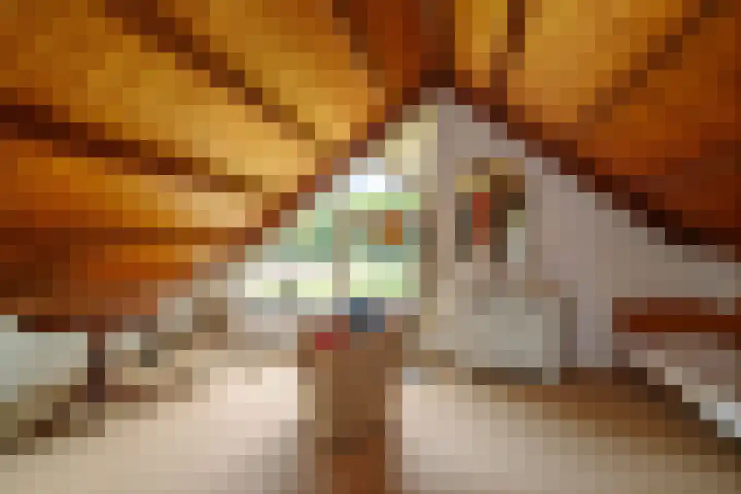 Flessenbosweg 12 Joppe thumbnail 31