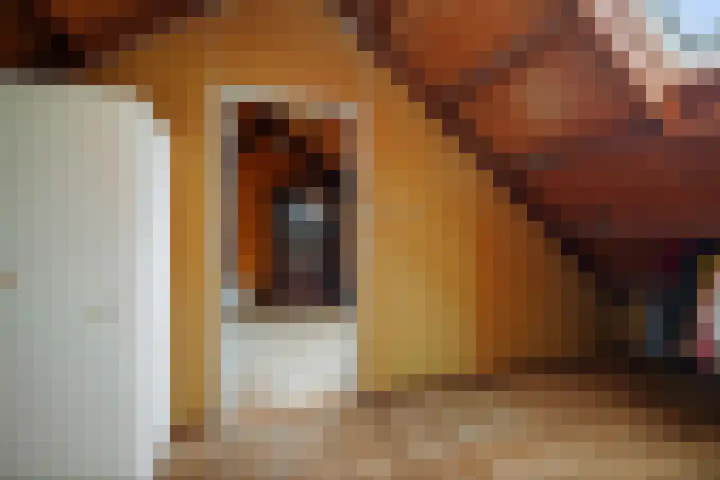 Flessenbosweg 12 Joppe thumbnail 32
