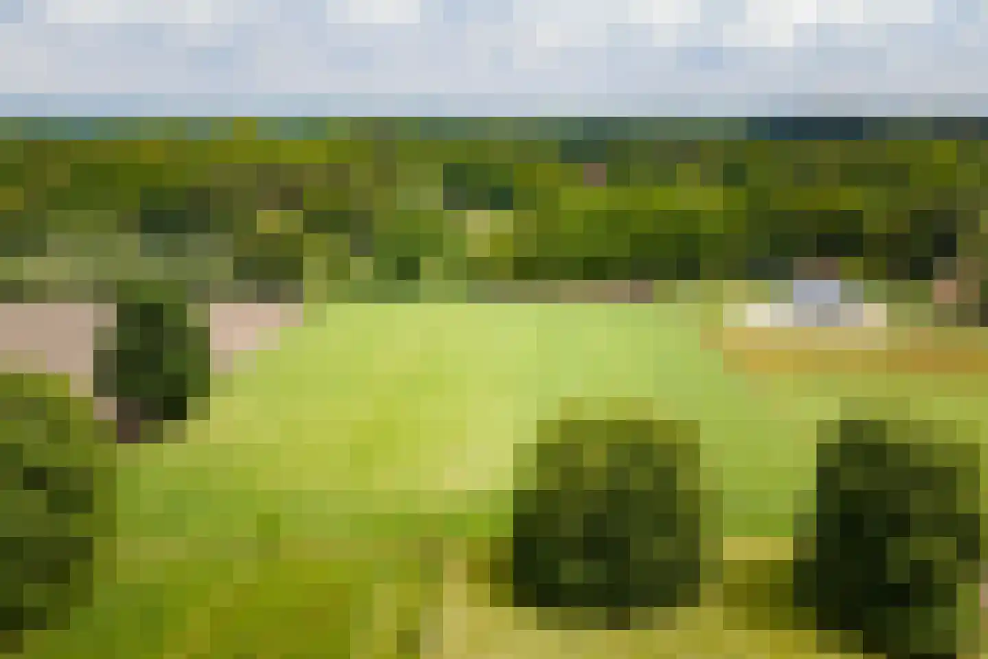 Flessenbosweg 12 Joppe thumbnail 38