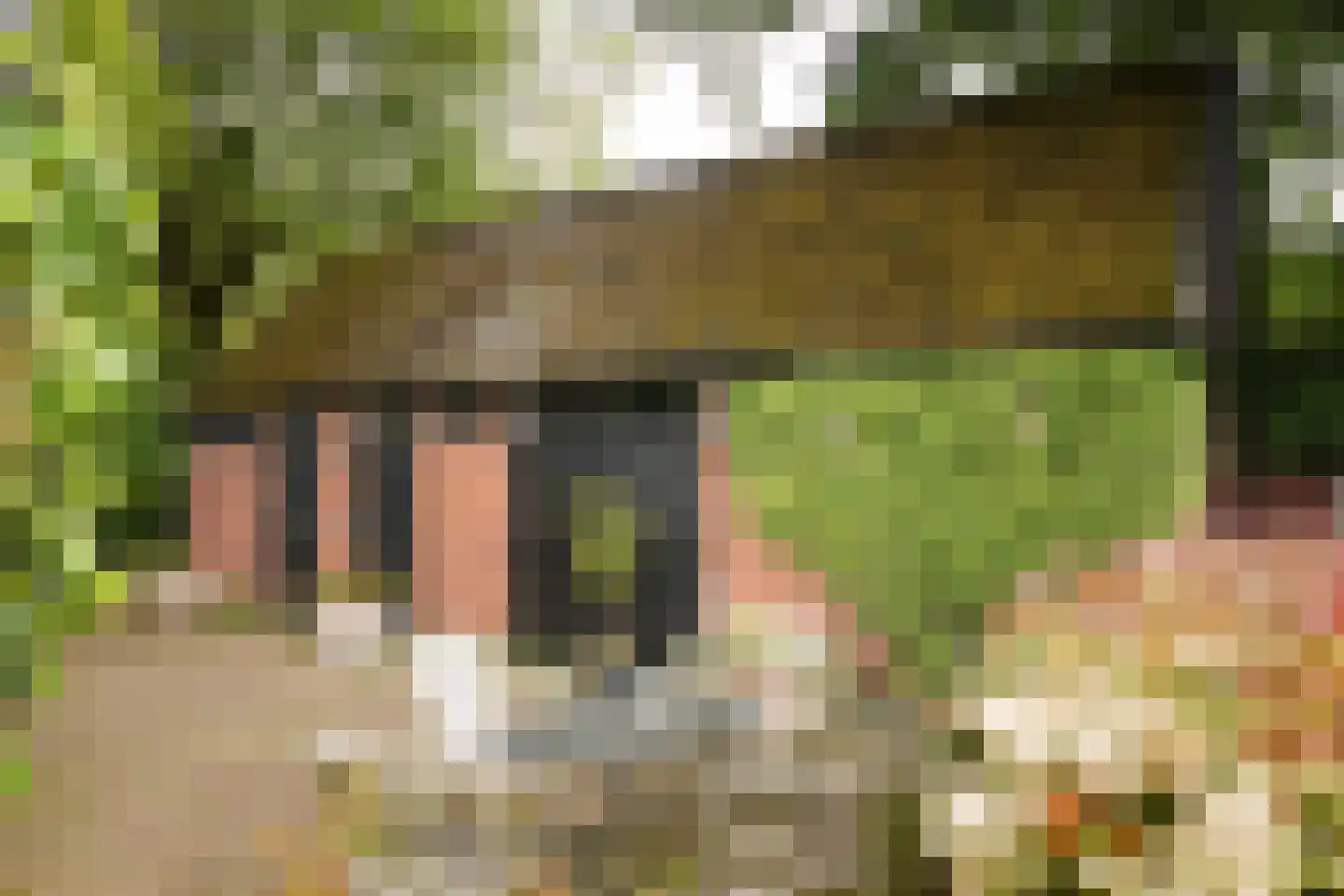 Flessenbosweg 12 Joppe thumbnail 43
