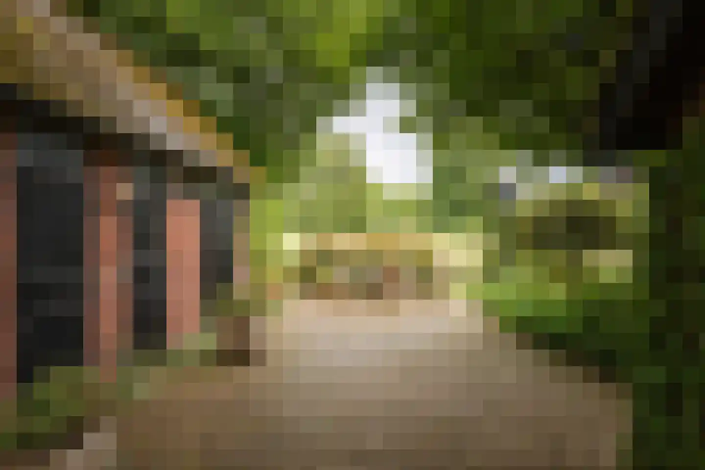 Flessenbosweg 12 Joppe thumbnail 44