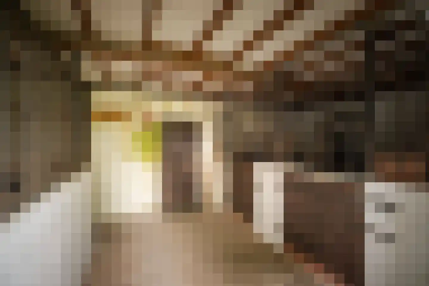 Flessenbosweg 12 Joppe thumbnail 45
