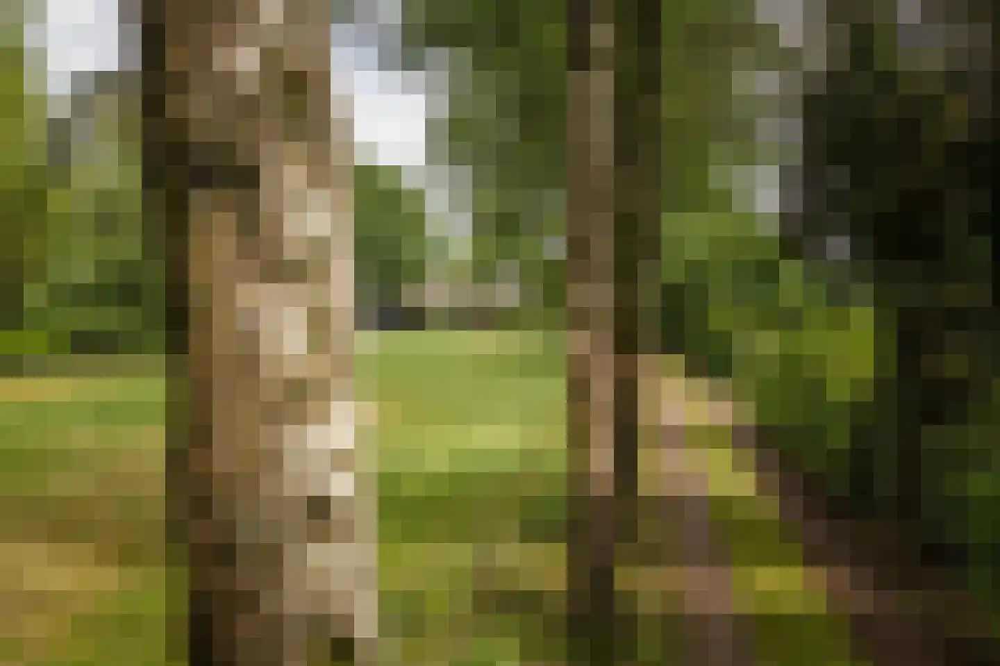 Flessenbosweg 12 Joppe thumbnail 47