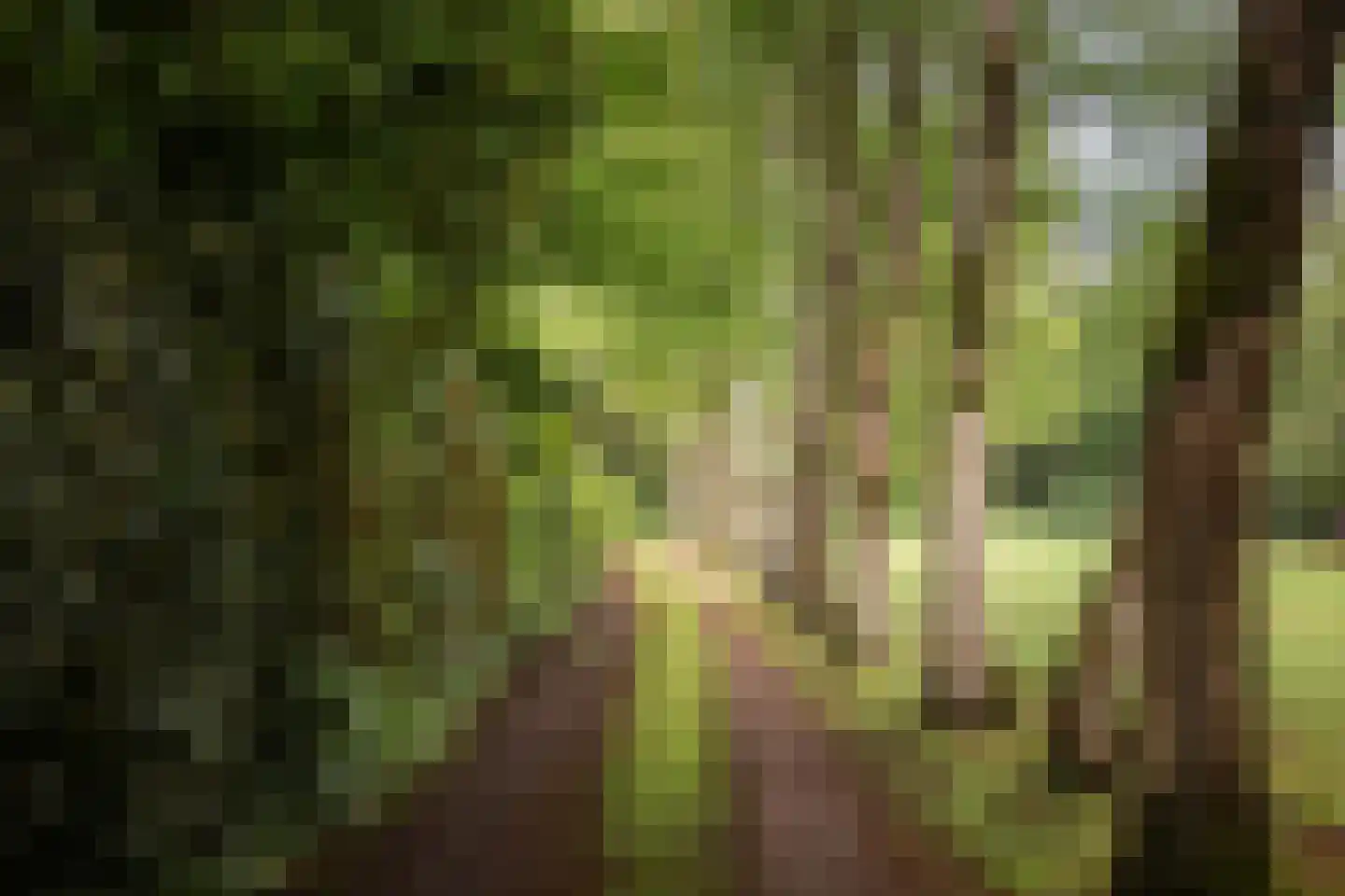 Flessenbosweg 12 Joppe thumbnail 48