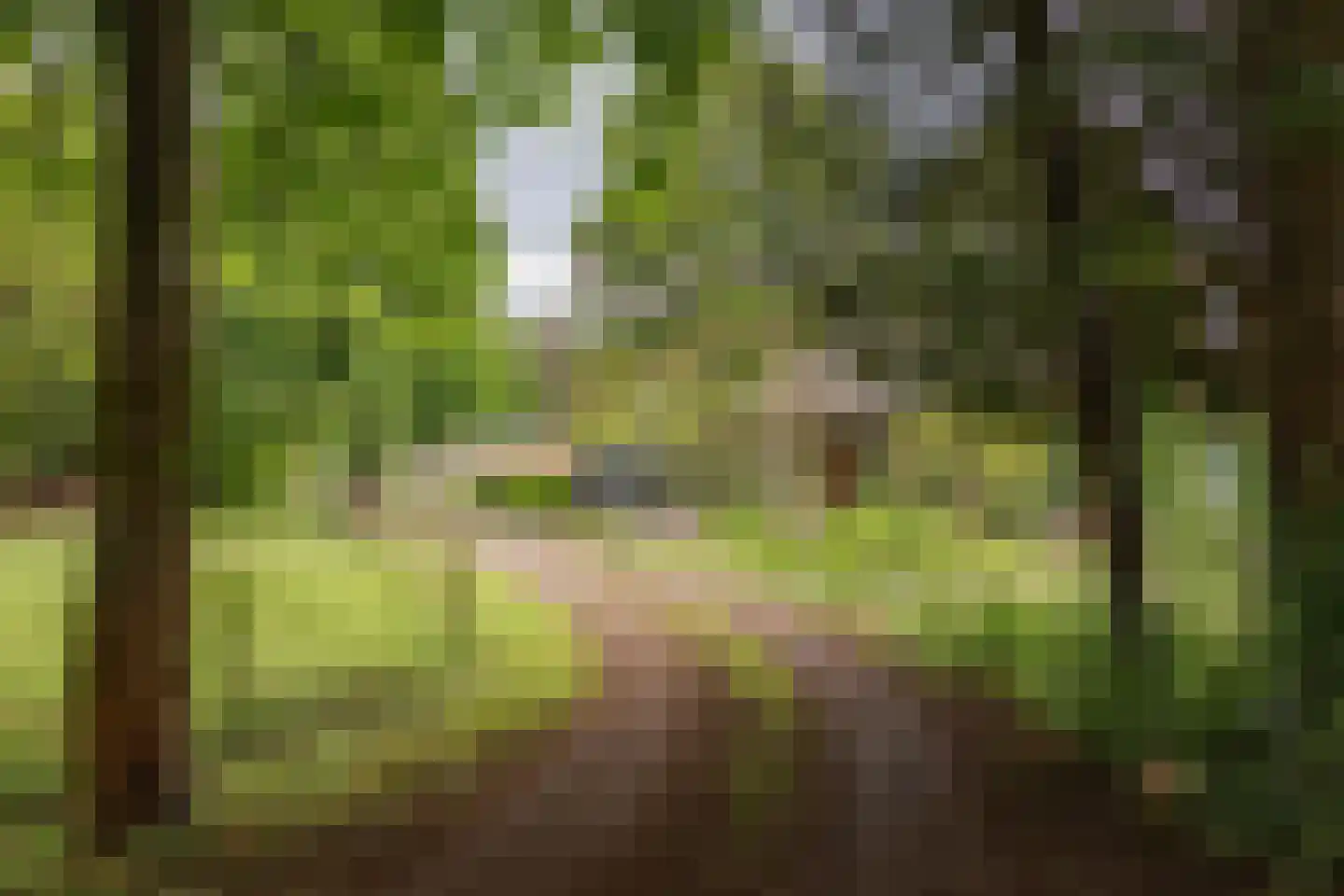 Flessenbosweg 12 Joppe thumbnail 49
