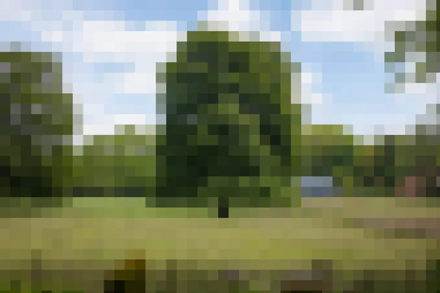 Flessenbosweg 12 Joppe thumbnail 50