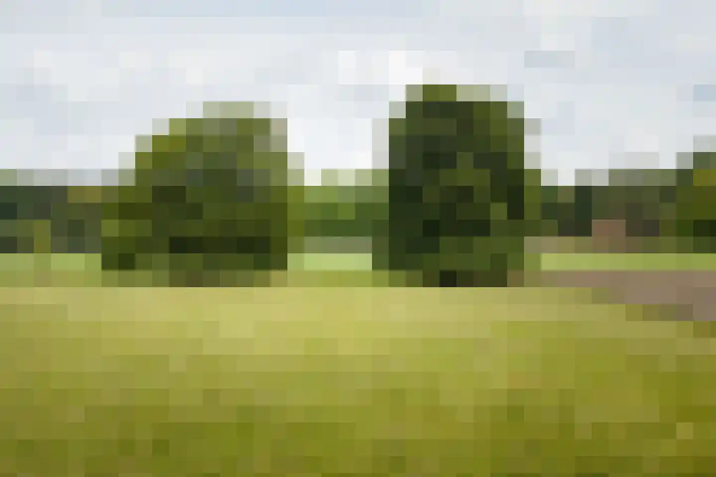 Flessenbosweg 12 Joppe thumbnail 52
