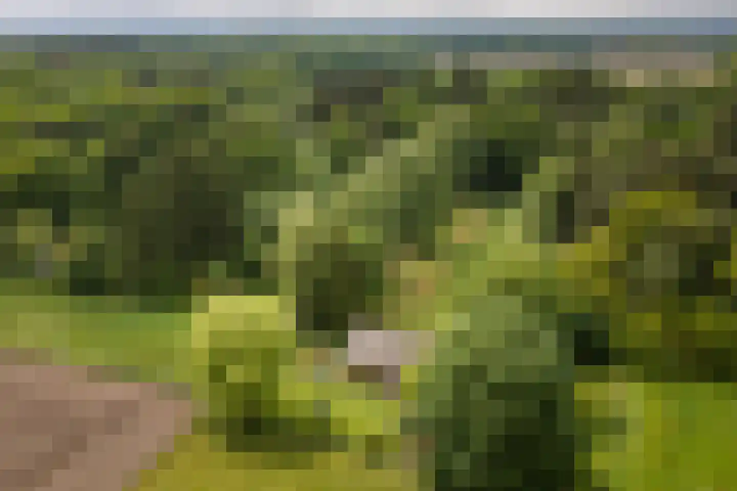 Flessenbosweg 12 Joppe thumbnail 53