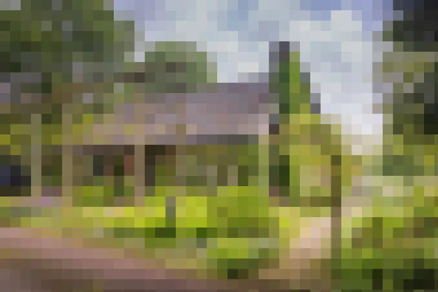 Flessenbosweg 12 Joppe thumbnail 8