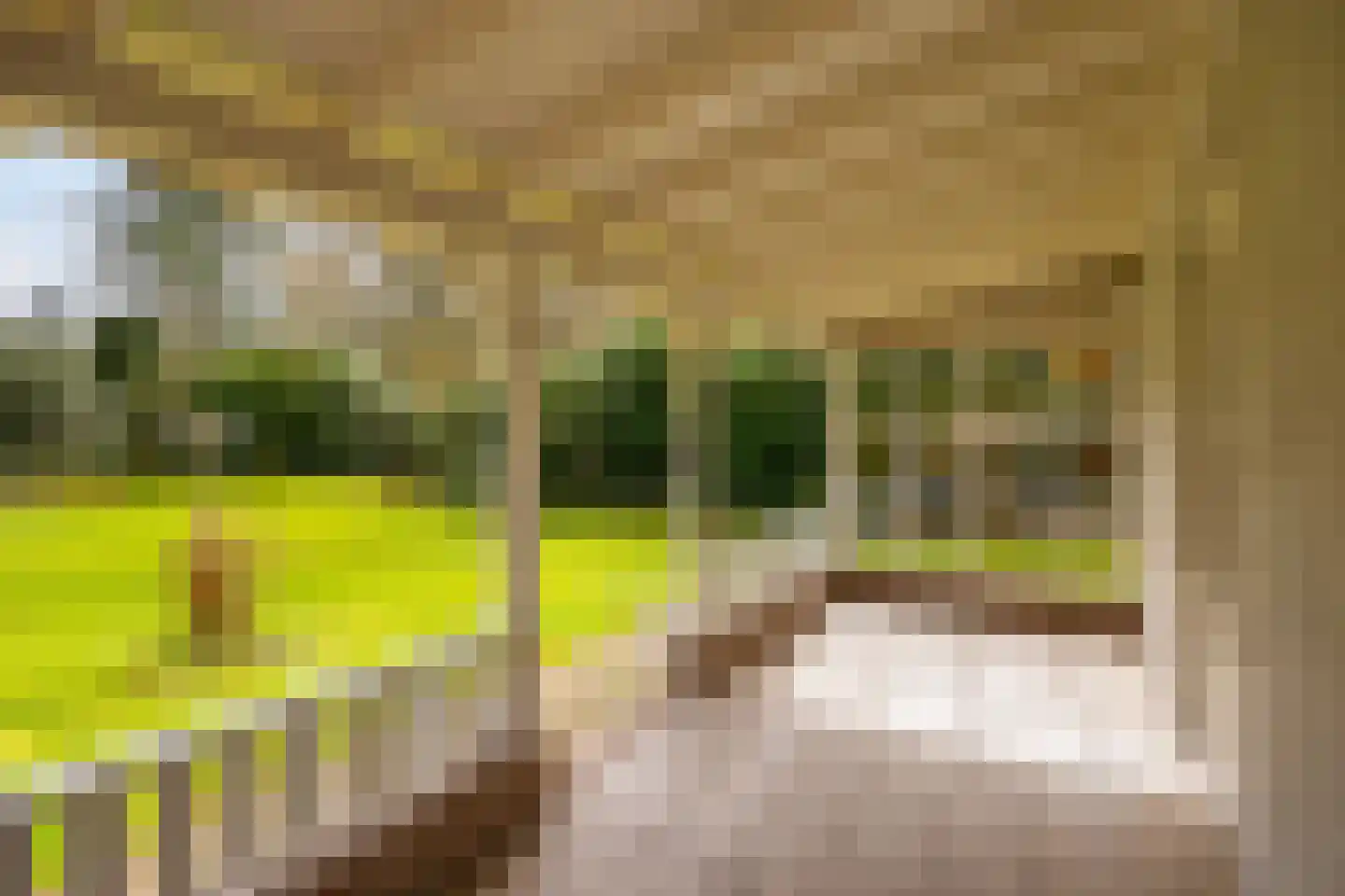 Flessenbosweg 6 Joppe thumbnail 13