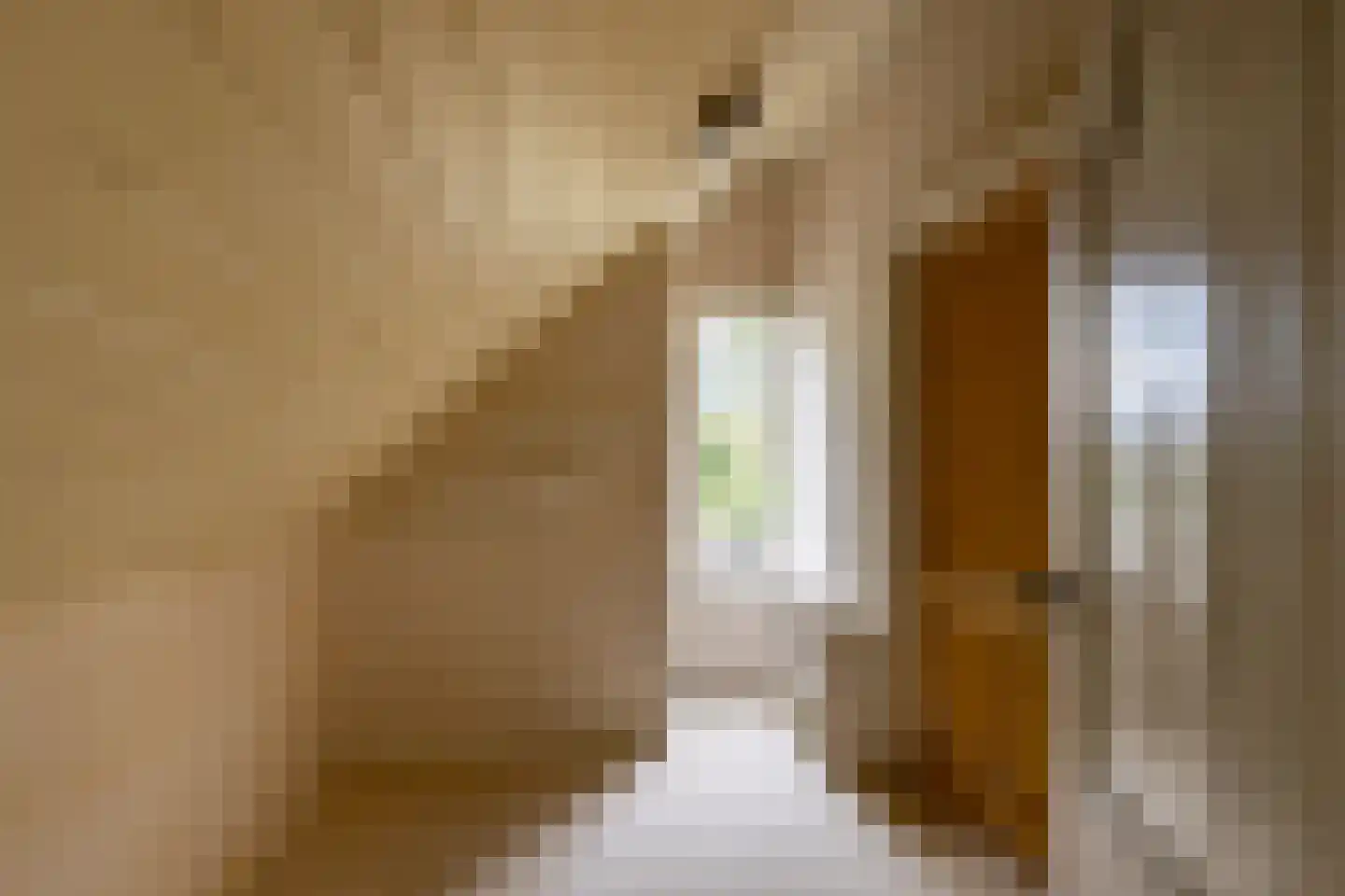 Flessenbosweg 6 Joppe thumbnail 32
