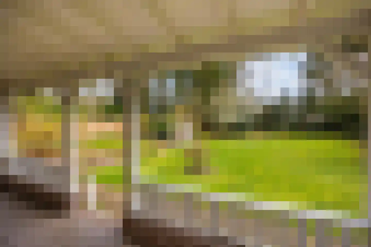 Flessenbosweg 6 Joppe thumbnail 40