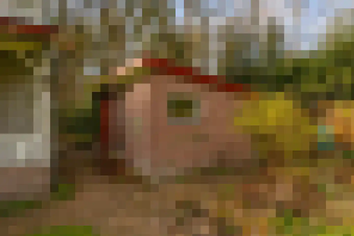 Flessenbosweg 6 Joppe thumbnail 41