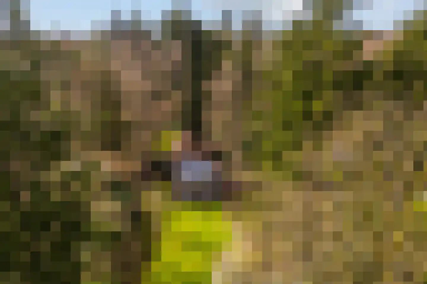 Flessenbosweg 6 Joppe thumbnail 45