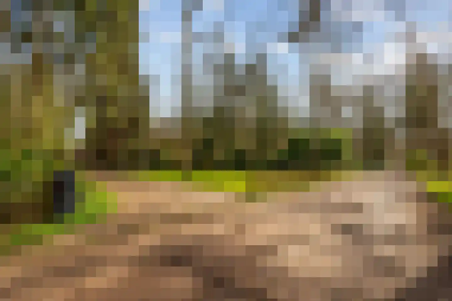 Flessenbosweg 6 Joppe thumbnail 47