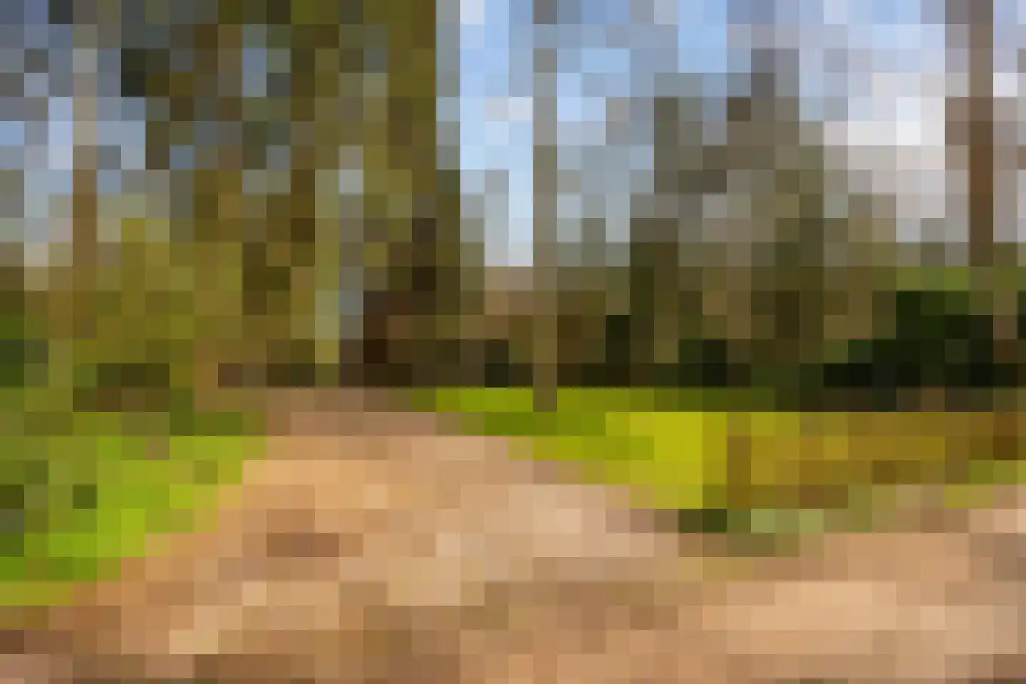 Flessenbosweg 6 Joppe thumbnail 48