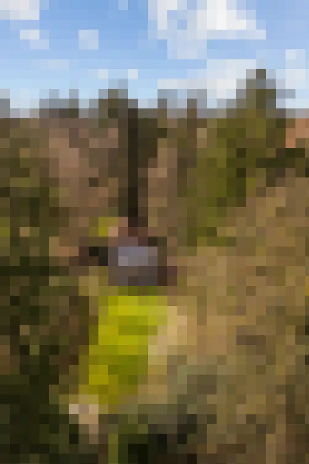Flessenbosweg 6 Joppe thumbnail 52