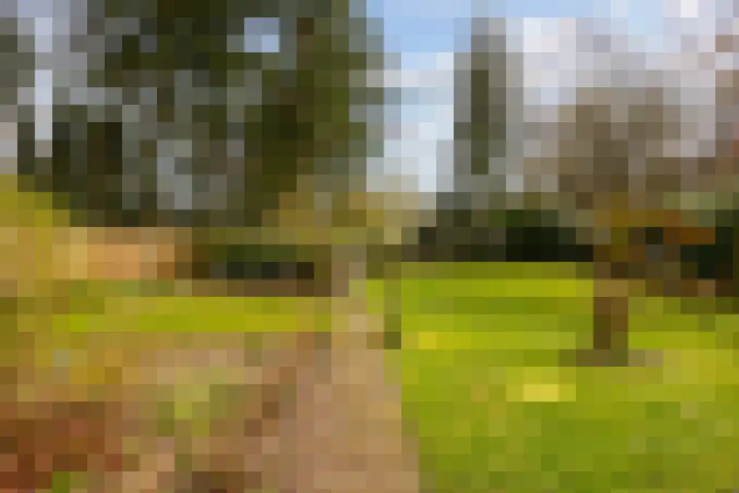 Flessenbosweg 6 Joppe thumbnail 54