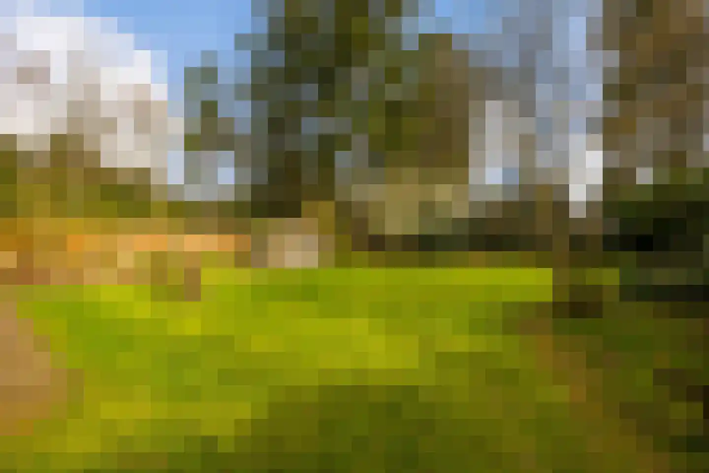 Flessenbosweg 6 Joppe thumbnail 55