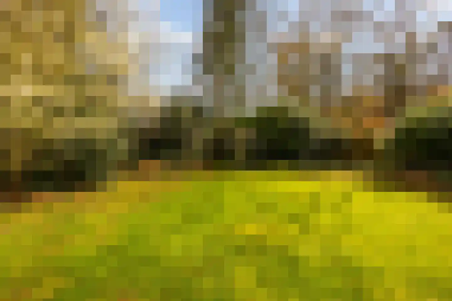 Flessenbosweg 6 Joppe thumbnail 56