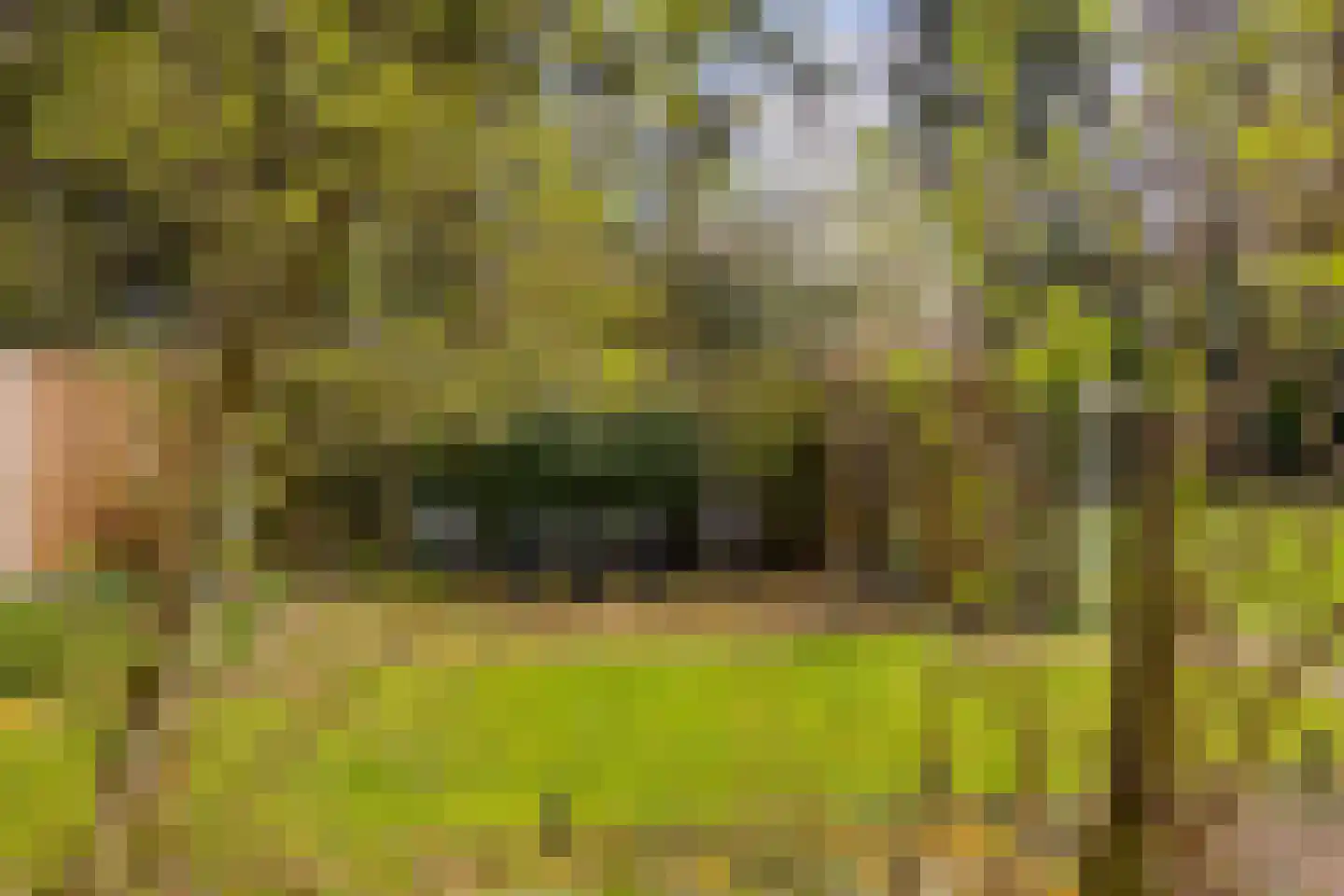 Flessenbosweg 6 Joppe thumbnail 57