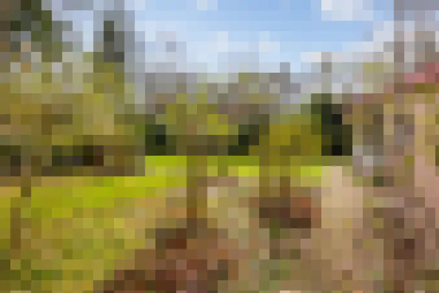 Flessenbosweg 6 Joppe thumbnail 59