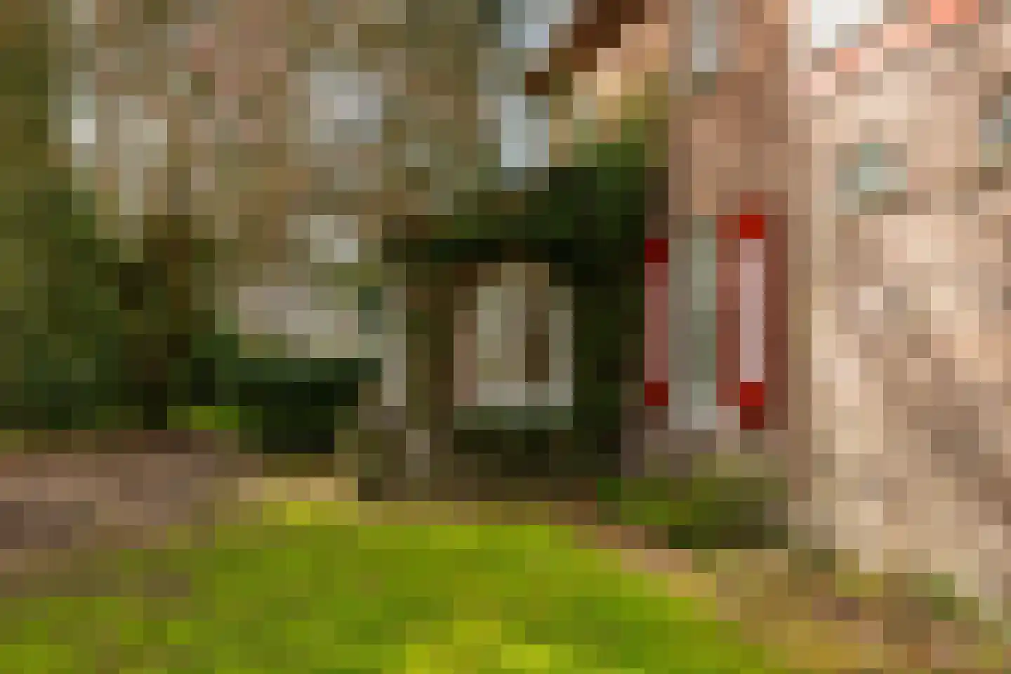 Flessenbosweg 6 Joppe thumbnail 60