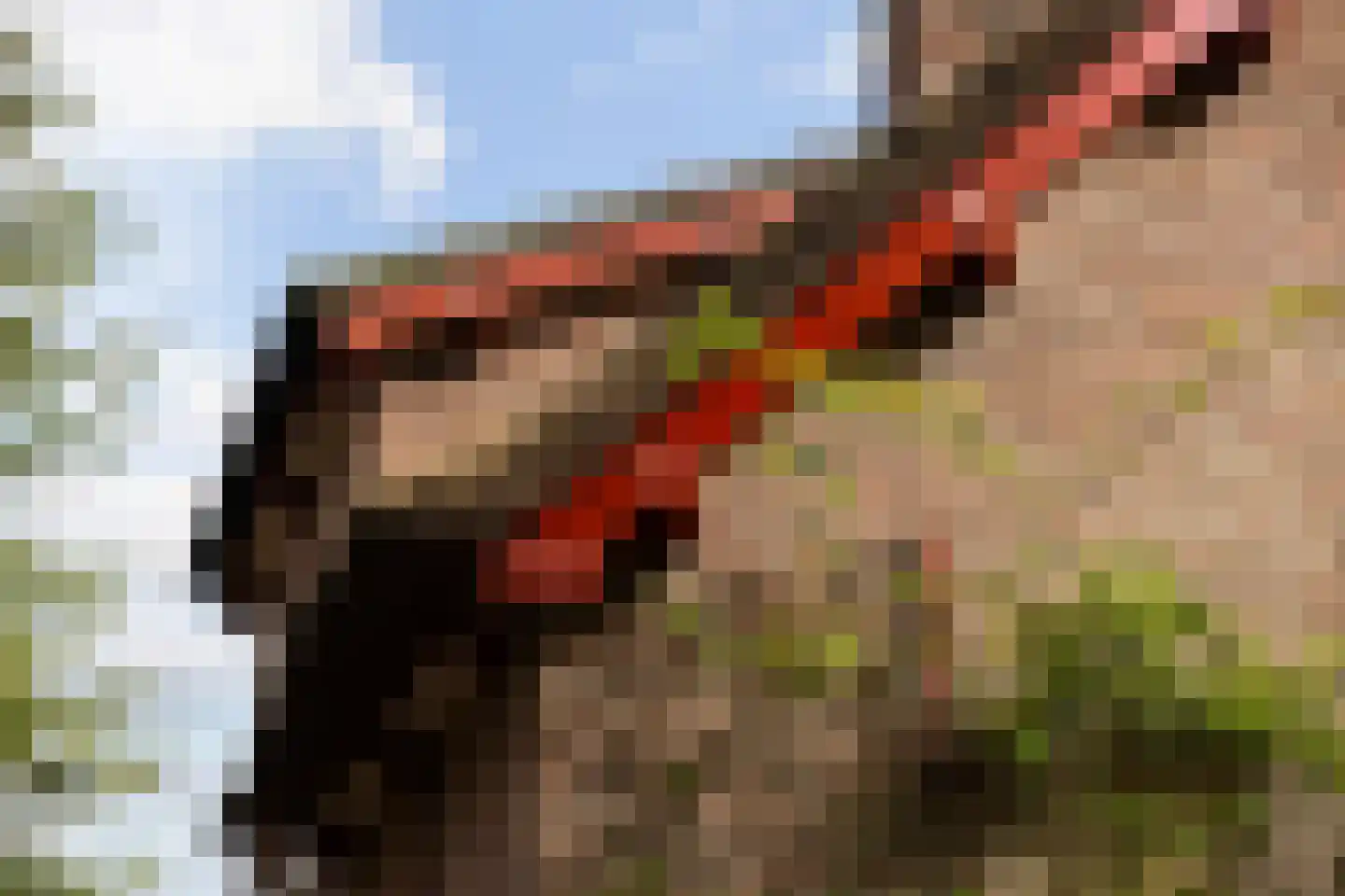 Flessenbosweg 6 Joppe thumbnail 61