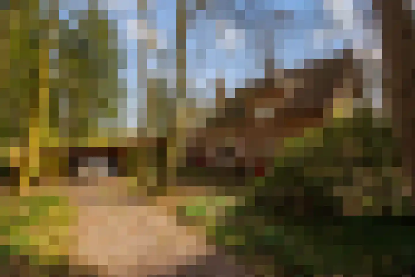 Flessenbosweg 6 Joppe thumbnail 63