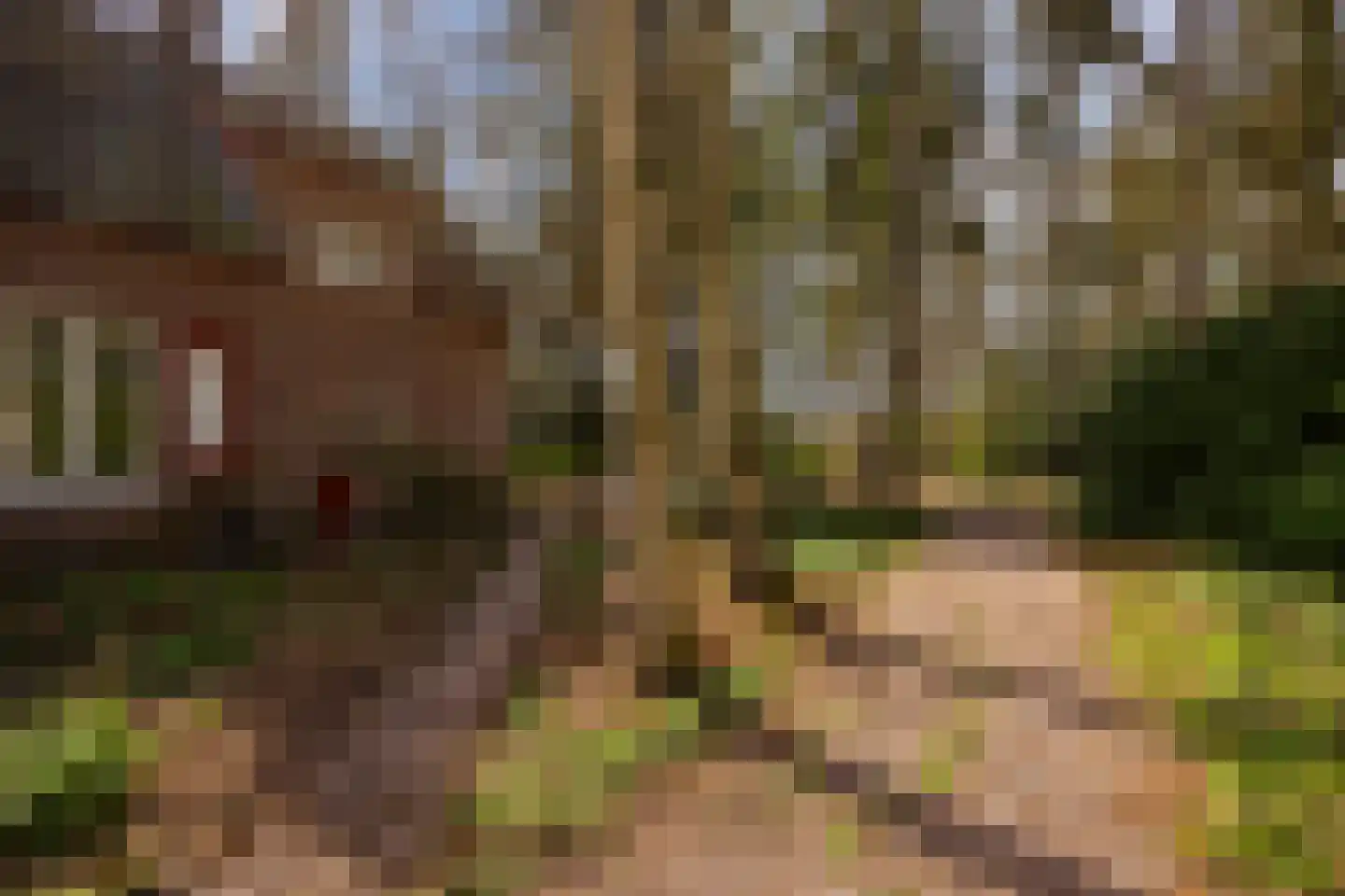 Flessenbosweg 6 Joppe thumbnail 64